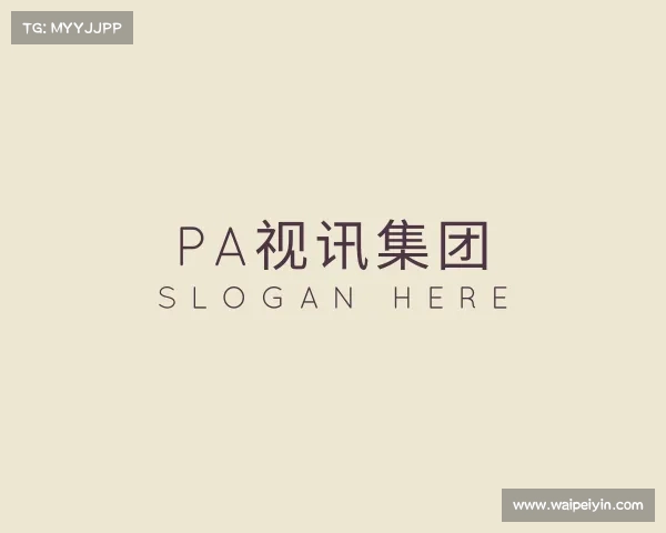 关于PA视讯集团